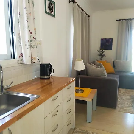 Guest house Amethyst - *